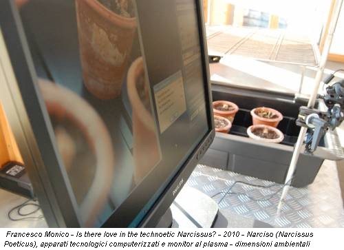 Francesco Monico - Is there love in the technoetic Narcissus? - 2010 - Narciso (Narcissus Poeticus), apparati tecnologici computerizzati e monitor al plasma - dimensioni ambientali