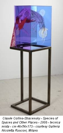Claude Collins-Stracensky - Species of Spaces and Other Places - 2008 - tecnica mista - cm 46x56x173 - courtesy Galleria Nicoletta Rusconi, Milano