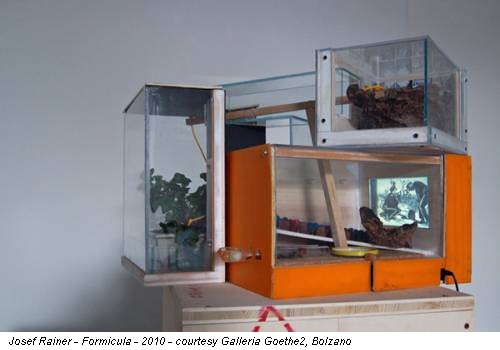 Josef Rainer - Formicula - 2010 - courtesy Galleria Goethe2, Bolzano