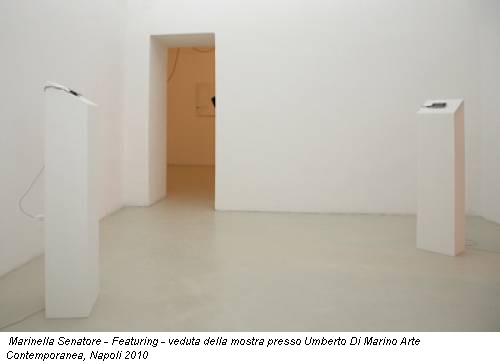 Marinella Senatore - Featuring - veduta della mostra presso Umberto Di Marino Arte Contemporanea, Napoli 2010