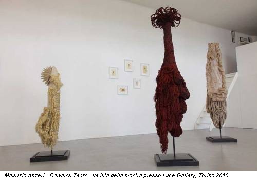 Maurizio Anzeri - Darwin's Tears - veduta della mostra presso Luce Gallery, Torino 2010