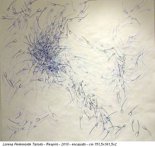 Lorena Pedemonte Tarodo - Respiro - 2010 - encausto - cm 151,5x161,5x2