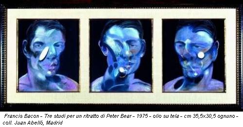 Francis Bacon - Tre studi per un ritratto di Peter Bear - 1975 - olio su tela - cm 35,5x30,5 ognuno - coll. Juan Abelló, Madrid