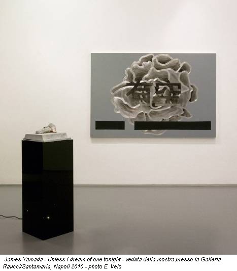 James Yamada - Unless I dream of one tonight - veduta della mostra presso la Galleria Raucci/Santamaria, Napoli 2010 - photo E. Velo