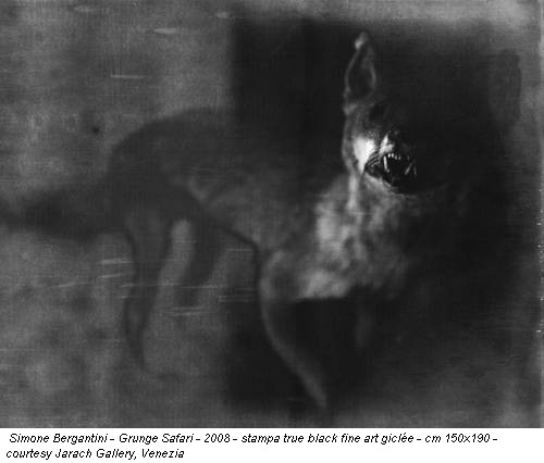 Simone Bergantini - Grunge Safari - 2008 - stampa true black fine art giclée - cm 150x190 - courtesy Jarach Gallery, Venezia