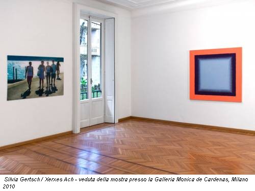 Silvia Gertsch / Xerxes Ach - veduta della mostra presso la Galleria Monica de Cardenas, Milano 2010