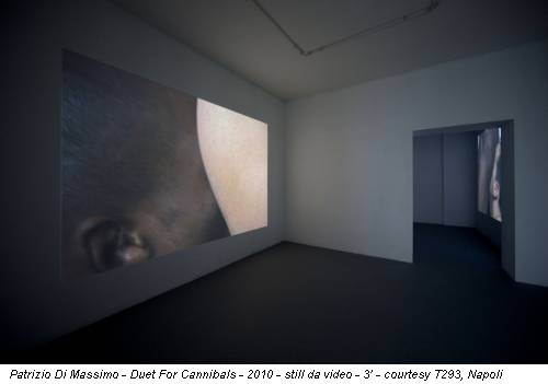 Patrizio Di Massimo - Duet For Cannibals - 2010 - still da video - 3’ - courtesy T293, Napoli