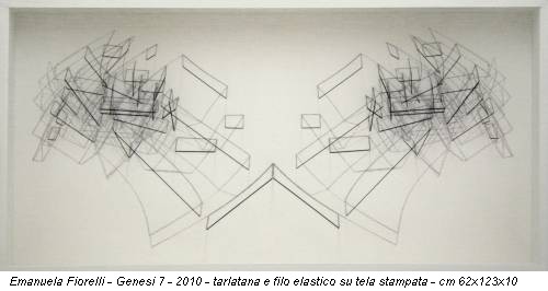 Emanuela Fiorelli - Genesi 7 - 2010 - tarlatana e filo elastico su tela stampata - cm 62x123x10