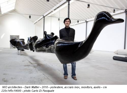 NIO architecten - Dark Matter - 2010 - poliestere, acciaio inox, monitors, audio - cm 220x145x19000 - photo Carlo Di Pasquale