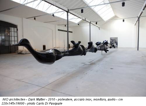 NIO architecten - Dark Matter - 2010 - poliestere, acciaio inox, monitors, audio - cm 220x145x19000 - photo Carlo Di Pasquale