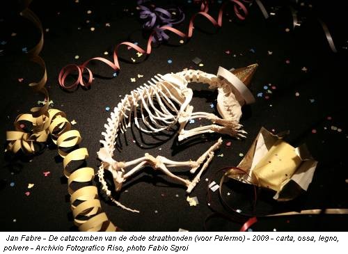Jan Fabre - De catacomben van de dode straathonden (voor Palermo) - 2009 - carta, ossa, legno, polvere - Archivio Fotografico Riso, photo Fabio Sgroi