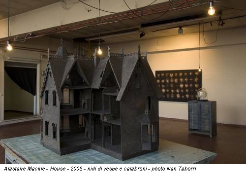 Alastaire Mackie - House - 2008 - nidi di vespe e calabroni - photo Ivan Taborri
