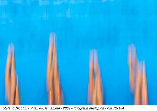 Stefano Nicolini - Vitali esclamazioni - 2009 - fotografia analogica - cm 70x104