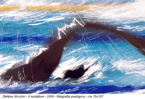 Stefano Nicolini - Il nuotatore - 2009 - fotografia analogica - cm 70x107