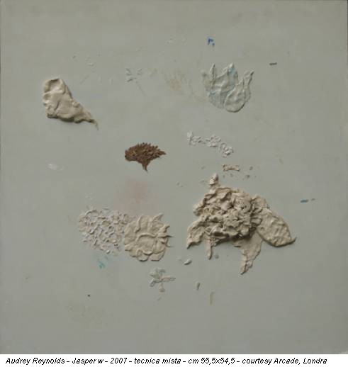 Audrey Reynolds - Jasper w - 2007 - tecnica mista - cm 55,5x54,5 - courtesy Arcade, Londra