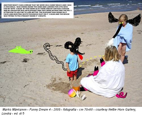 Marko Mäekamm - Funny Dream 4 - 2008 - fotografia - cm 70x60 - courtesy Nettie Horn Gallery, Londra - ed. di 5