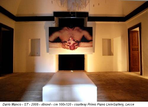 Dario Manco - ST - 2008 - dbond - cm 100x120 - courtesy Primo Piano LivinGallery, Lecce
