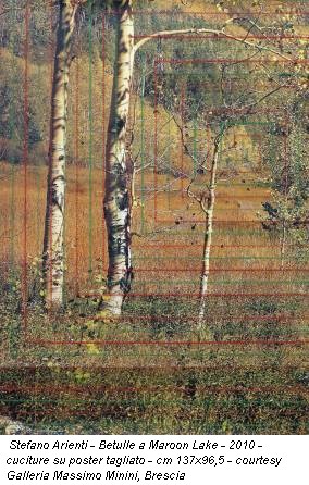 Stefano Arienti - Betulle a Maroon Lake - 2010 - cuciture su poster tagliato - cm 137x96,5 - courtesy Galleria Massimo Minini, Brescia