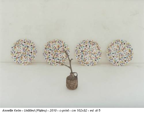 Annette Kelm - Untitled (Plates) - 2010 - c-print - cm 102x82 - ed. di 5