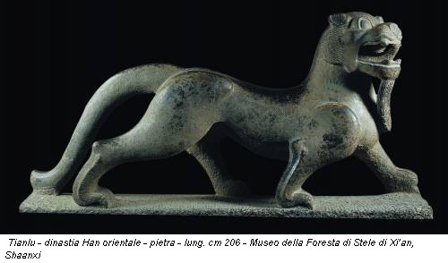 Tianlu - dinastia Han orientale - pietra - lung. cm 206 - Museo della Foresta di Stele di Xi’an, Shaanxi