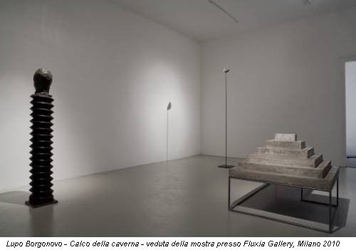 Lupo Borgonovo - Calco della caverna - veduta della mostra presso Fluxia Gallery, Milano 2010