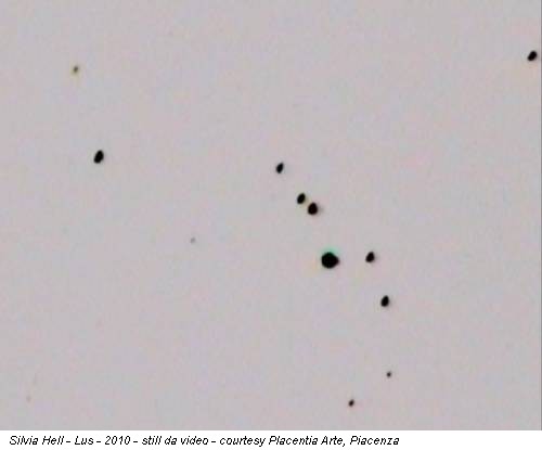 Silvia Hell - Lus - 2010 - still da video - courtesy Placentia Arte, Piacenza