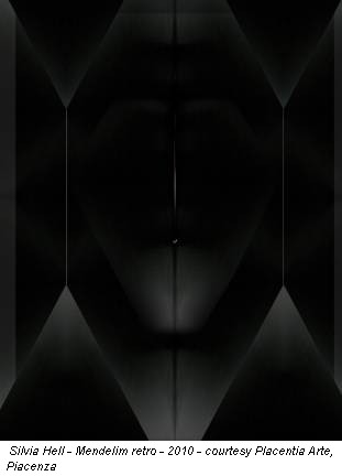 Silvia Hell - Mendelim retro - 2010 - courtesy Placentia Arte, Piacenza