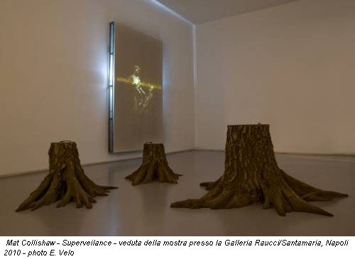 Mat Collishaw - Superveilance - veduta della mostra presso la Galleria Raucci/Santamaria, Napoli 2010 - photo E. Velo
