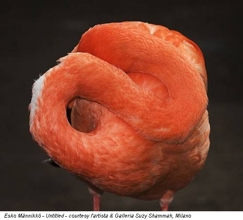 Esko Männikkö - Untitled - courtesy l'artista & Galleria Suzy Shammah, Milano