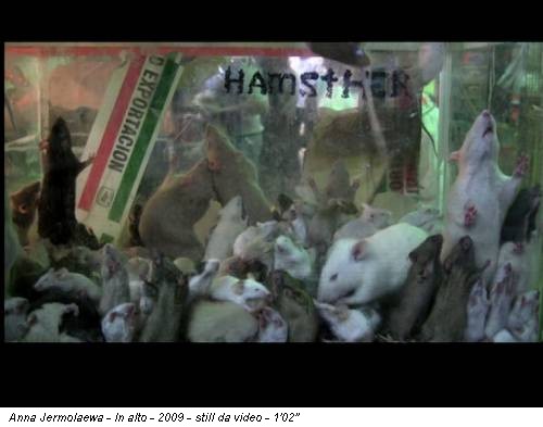 Anna Jermolaewa - In alto - 2009 - still da video - 1'02''