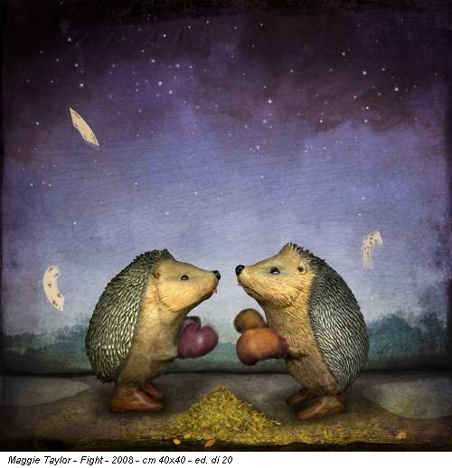 Maggie Taylor - Fight - 2008 - cm 40x40 - ed. di 20