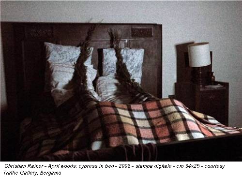 Christian Rainer - April woods: cypress in bed - 2008 - stampa digitale - cm 34x25 - courtesy Traffic Gallery, Bergamo