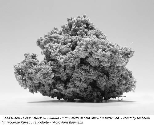 Jens Risch - Seidenstück I - 2000-04 - 1.000 metri di seta silk - cm 9x8x6 ca. - courtesy Museum für Moderne Kunst, Francoforte - photo Jörg Baumann