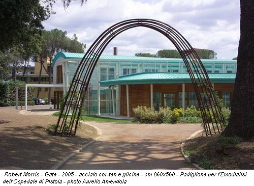 Robert Morris - Gate - 2005 - acciaio cor-ten e glicine - cm 860x560 - Padiglione per l'Emodialisi dell'Ospedale di Pistoia - photo Aurelio Amendola