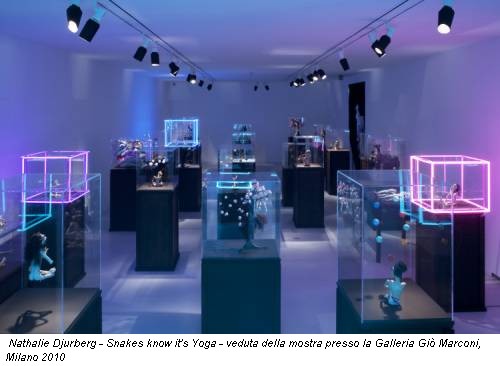 Nathalie Djurberg - Snakes know it's Yoga - veduta della mostra presso la Galleria Giò Marconi, Milano 2010