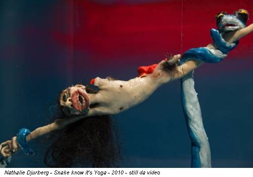Nathalie Djurberg - Snake know it's Yoga - 2010 - still da video