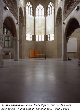 Sean Shanahan - Paul - 2007 - 2 parti, olio su MDF - cm 200x300x4 - Kunst-Station, Colonia 2007 - coll. Panza