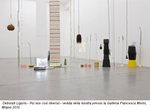 Deborah Ligorio - Poi non così diverso - veduta della mostra presso la Galleria Francesca Minini, Milano 2010