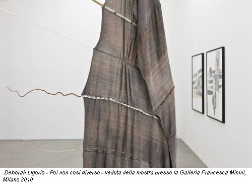 Deborah Ligorio - Poi non così diverso - veduta della mostra presso la Galleria Francesca Minini, Milano 2010