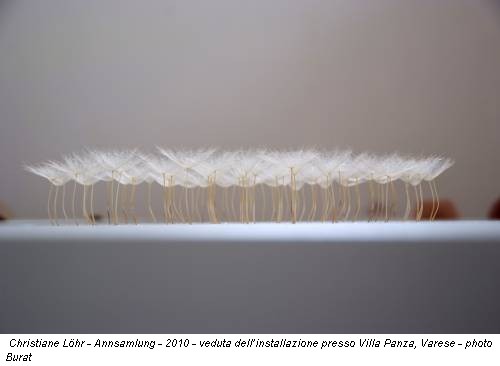 Christiane Löhr - Annsamlung - 2010 - veduta dell’installazione presso Villa Panza, Varese - photo Burat