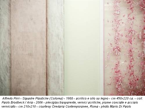 Alfredo Pirri - Squadre Plastiche (Colorea) - 1988 - acrilico e olio su legno - cm 450x220 ca. - coll. Paolo Brodbeck / Aria - 2006 - plexiglas trasparente, vernici acriliche, piume conciate e acciaio verniciato - cm 210x210 - courtesy Oredaria Contemporanee, Roma - photo Mario Di Paolo