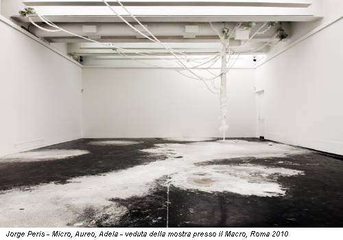 Jorge Peris - Micro, Aureo, Adela - veduta della mostra presso il Macro, Roma 2010