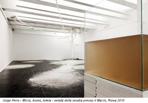 Jorge Peris - Micro, Aureo, Adela - veduta della mostra presso il Macro, Roma 2010