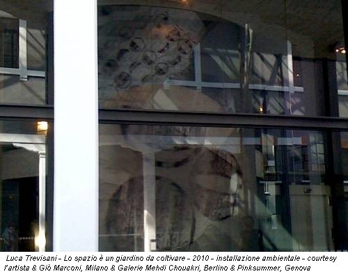 Luca Trevisani - Lo spazio è un giardino da coltivare - 2010 - installazione ambientale - courtesy l’artista & Giò Marconi, Milano & Galerie Mehdi Chouakri, Berlino & Pinksummer, Genova