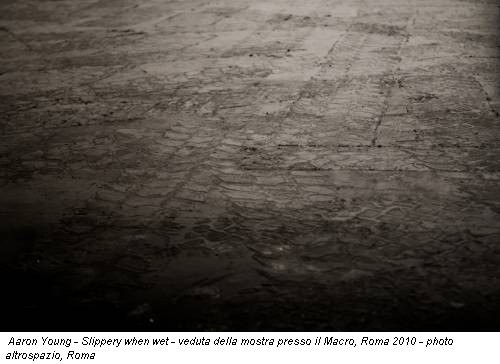 Aaron Young - Slippery when wet - veduta della mostra presso il Macro, Roma 2010 - photo altrospazio, Roma