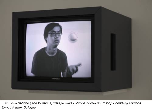 Tim Lee - Untitled (Ted Williams, 1941) - 2003 - still da video - 9’23’’ loop - courtesy Galleria Enrico Astuni, Bologna