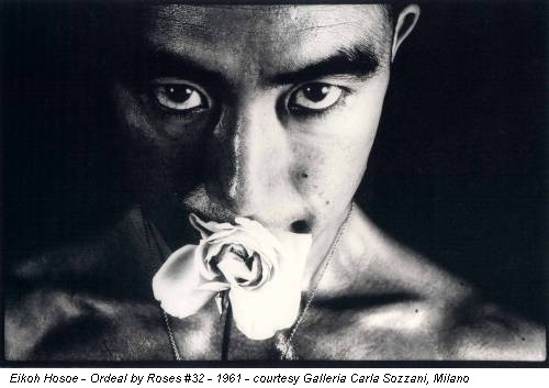 Eikoh Hosoe - Ordeal by Roses #32 - 1961 - courtesy Galleria Carla Sozzani, Milano