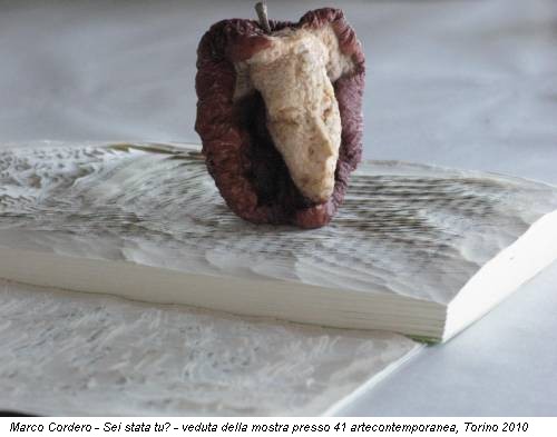 Marco Cordero - Sei stata tu? - veduta della mostra presso 41 artecontemporanea, Torino 2010