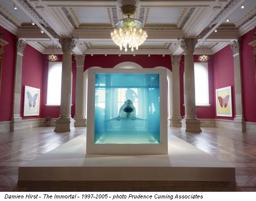 Damien Hirst - The Immortal - 1997-2005 - photo Prudence Cuming Associates