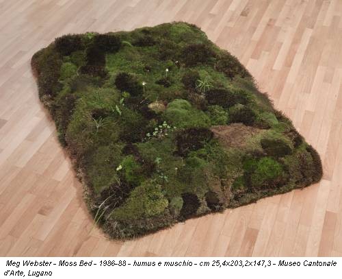 Meg Webster - Moss Bed - 1986-88 - humus e muschio - cm 25,4x203,2x147,3 - Museo Cantonale d’Arte, Lugano